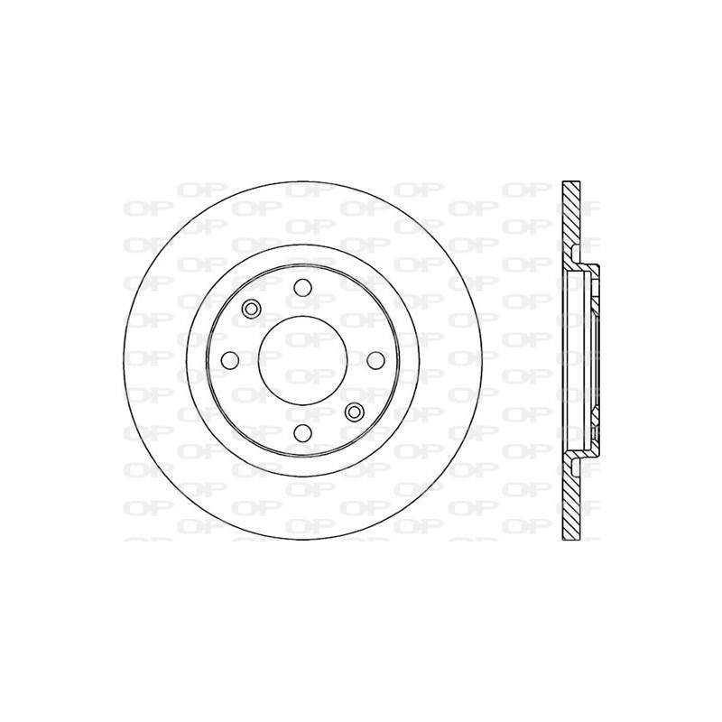 BRAKE DISC OPEN PARTS RADIANCE 2pcs 