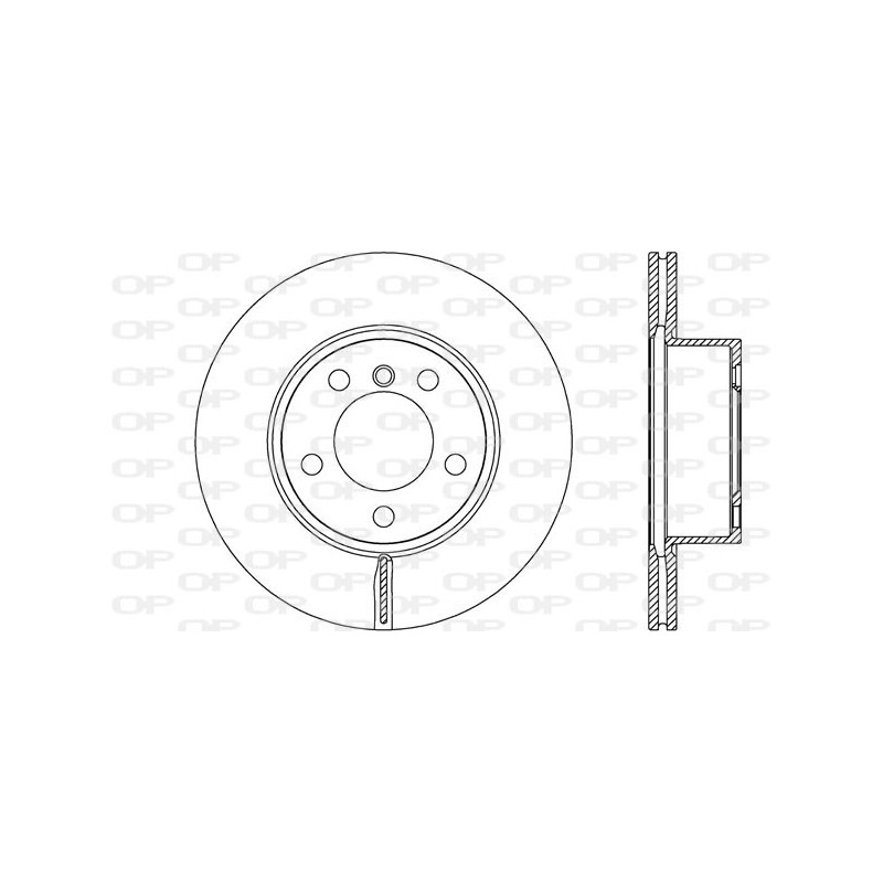 BRAKE DISC OPEN PARTS RADIANCE 2pcs 