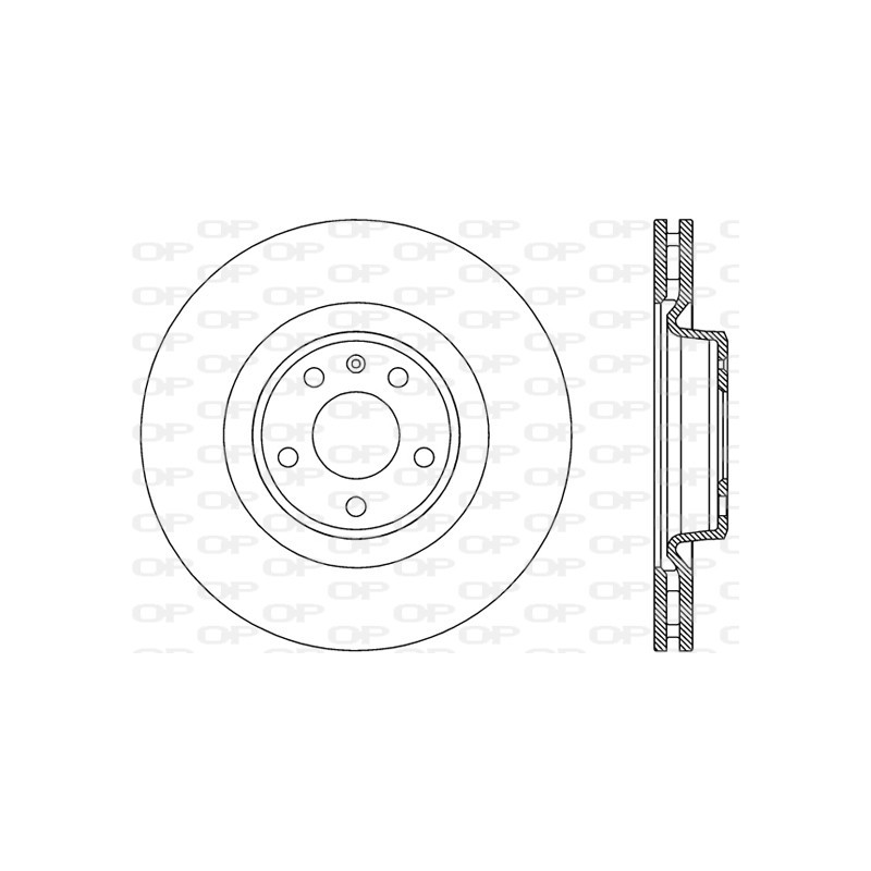 BRAKE DISC OPEN PARTS RADIANCE 2pcs 