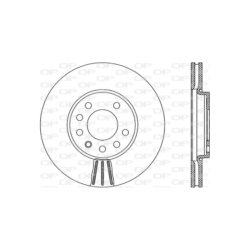 BRAKE DISC OPEN PARTS RADIANCE 2pcs 