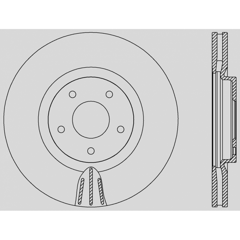 BRAKE DISC OPEN PARTS RADIANCE 2pcs 