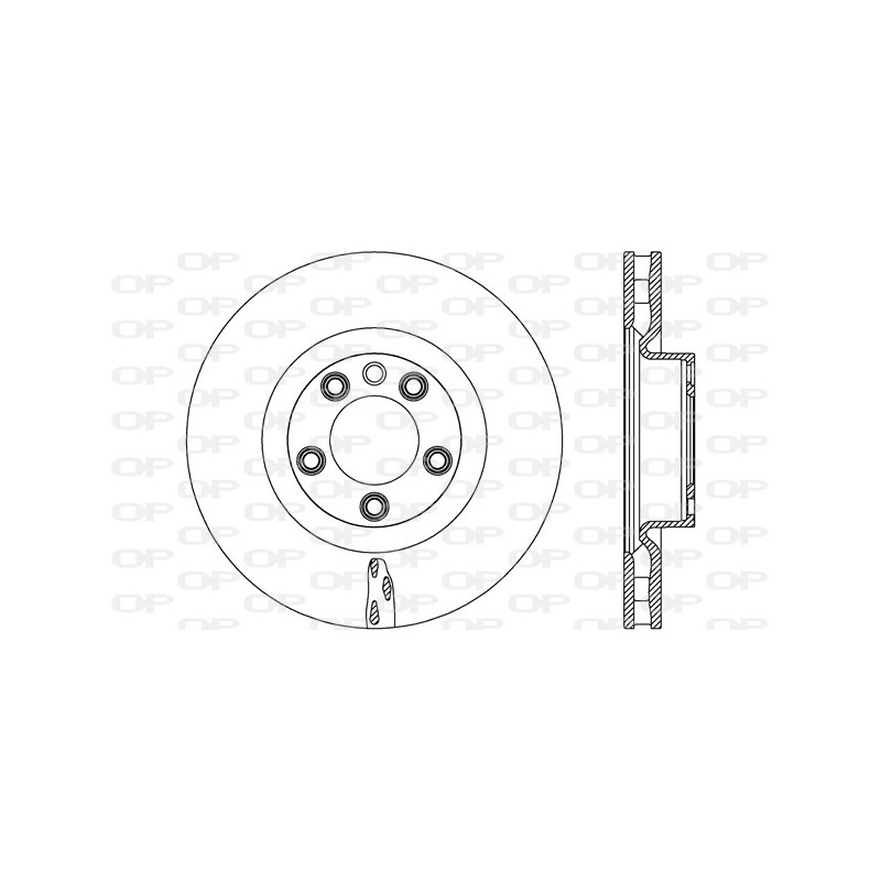 BRAKE DISC OPEN PARTS RADIANCE 2pcs 