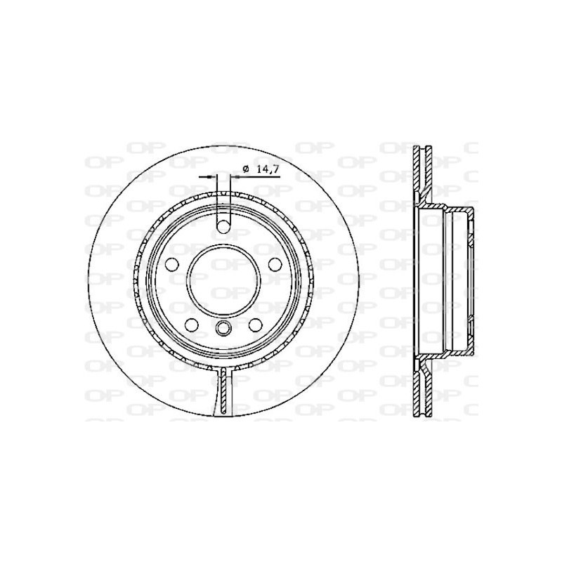 BRAKE DISC OPEN PARTS RADIANCE 2pcs 