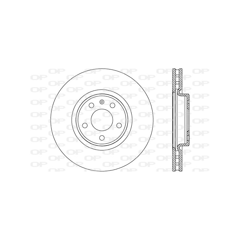 BRAKE DISC OPEN PARTS RADIANCE 2pcs 