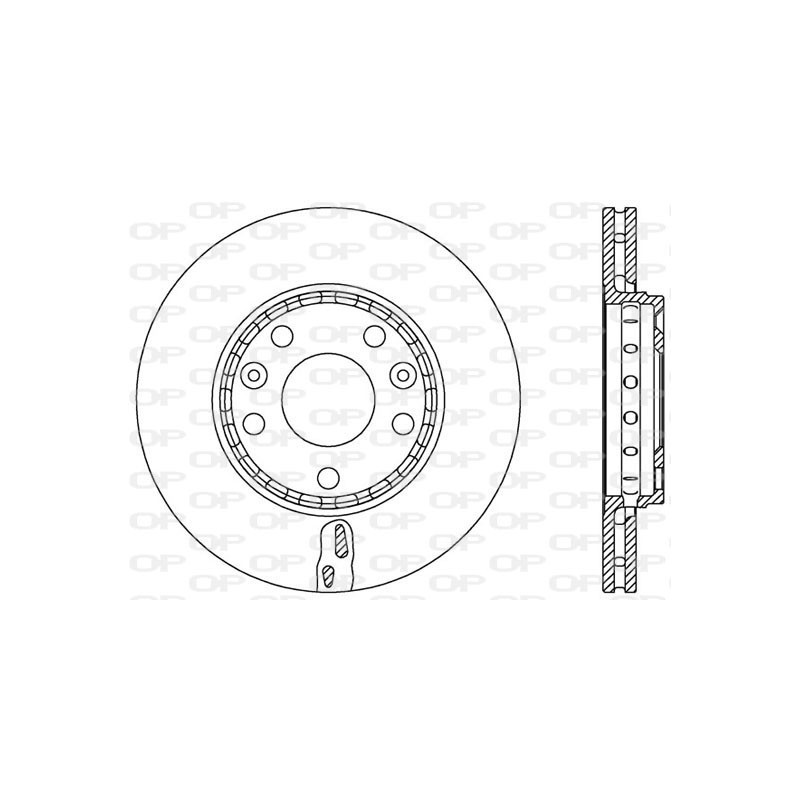 BRAKE DISC OPEN PARTS RADIANCE 2pcs 