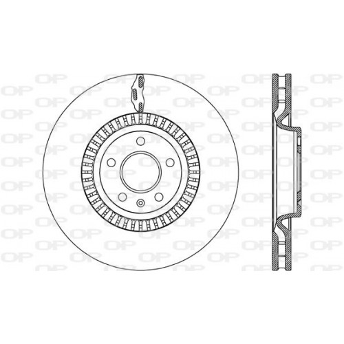 BRAKE DISC OPEN PARTS RADIANCE 2pcs 