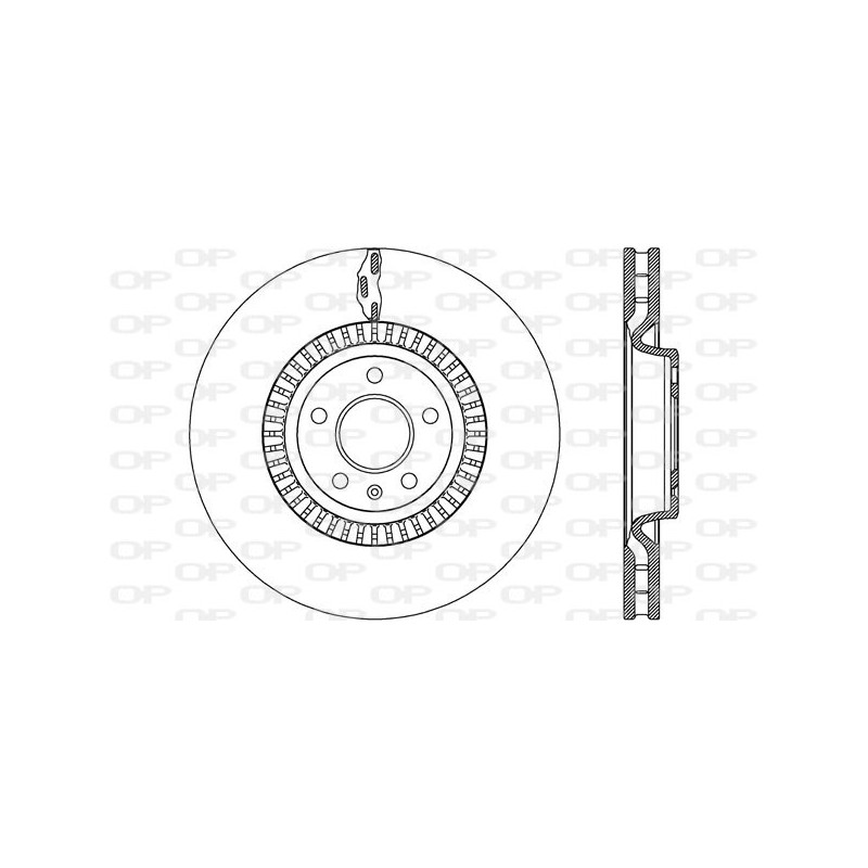 BRAKE DISC OPEN PARTS RADIANCE 2pcs 