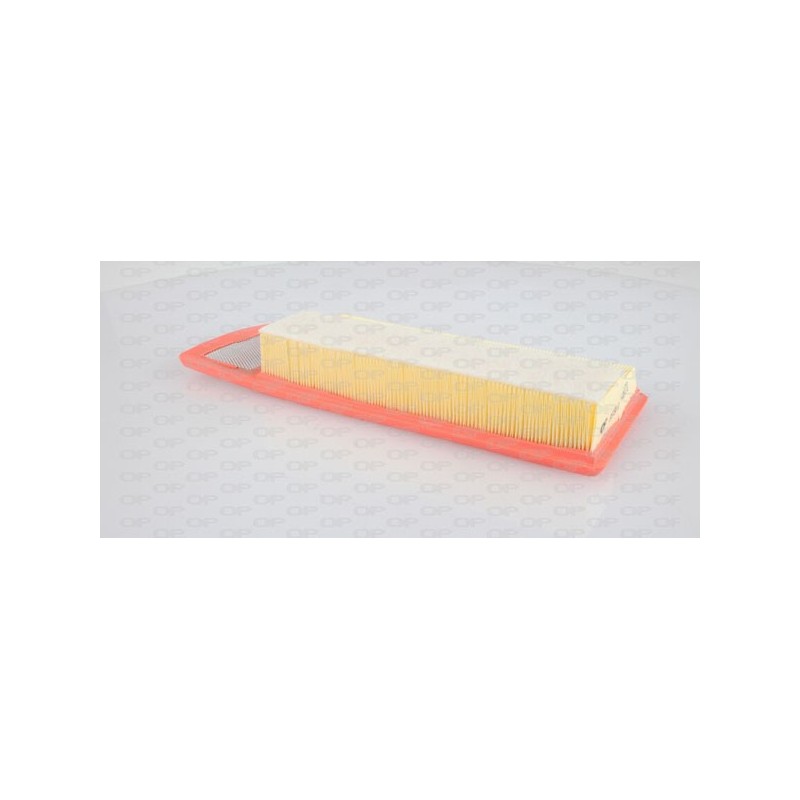 ENG.AIR FILTER OP SOSTITUISCE EAF3602.10 